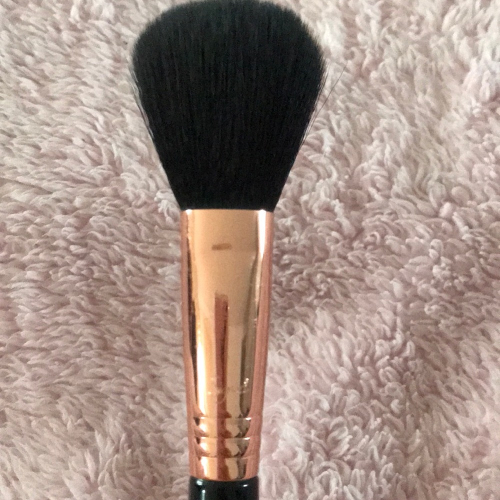 Sigma F10 Powder/Blush Brush